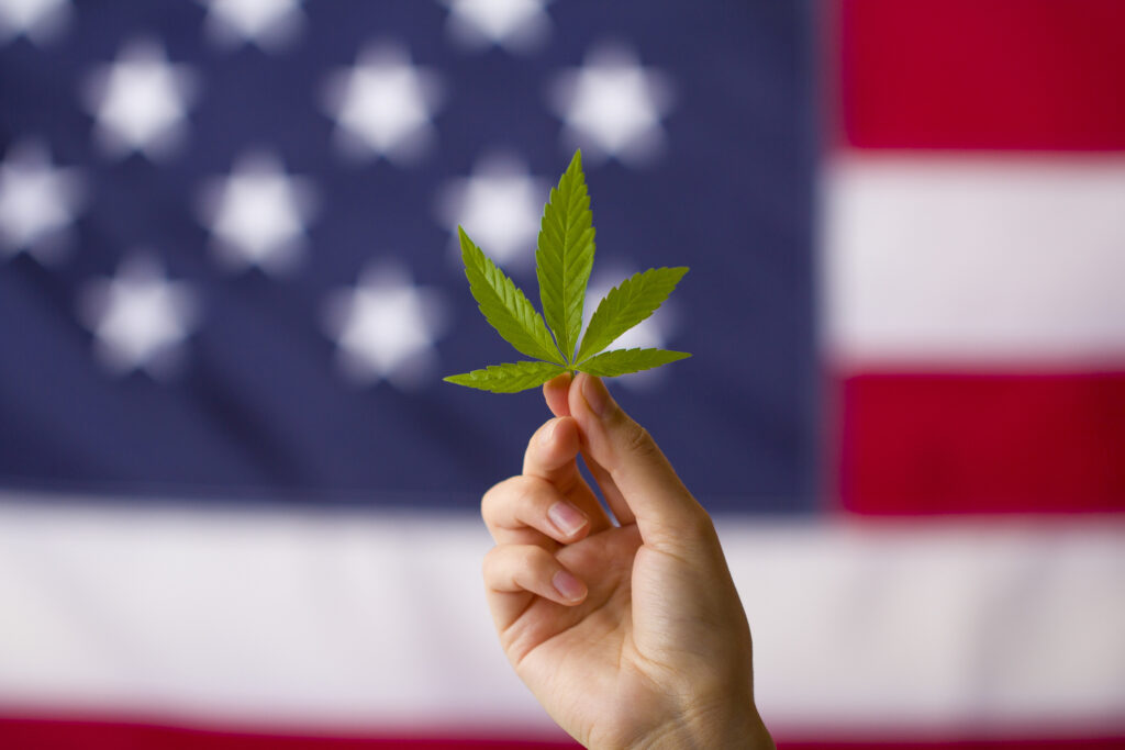Featured image for Wednesday Worklaw Alert: New York to Legalize Recreational Marijuana 